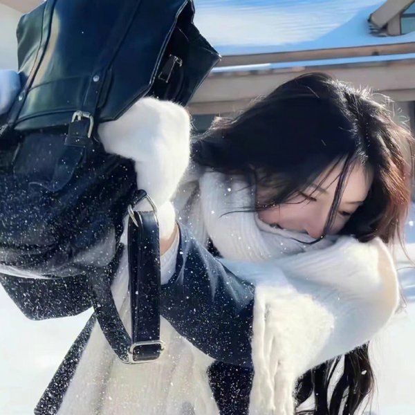 恋恋飞翔